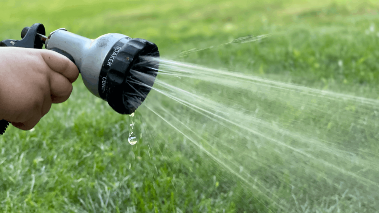 How long should I hand water my lawn