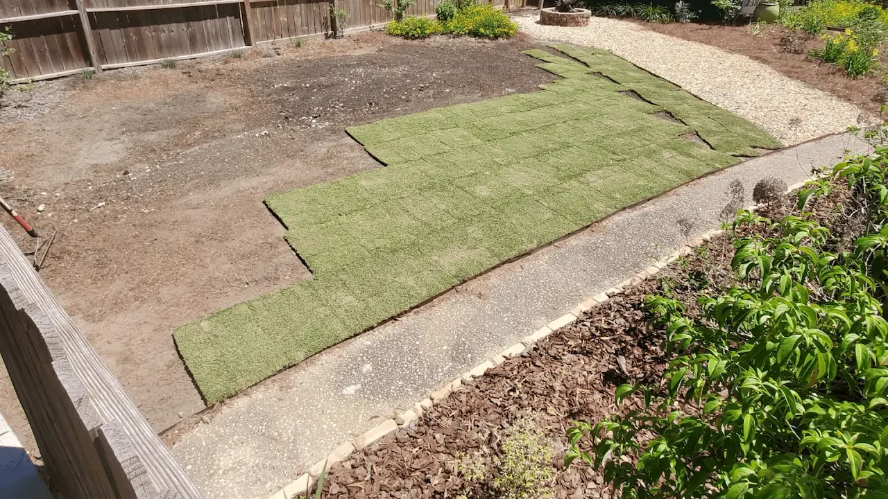 When Is the Best Time to Install Sod in Colorado?