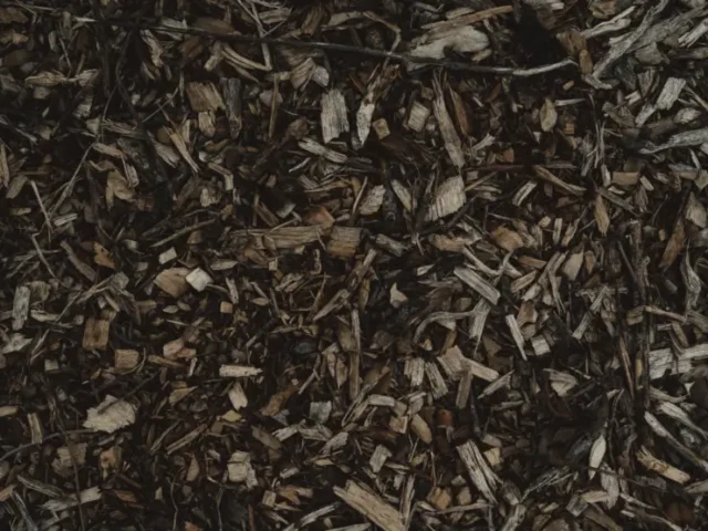 softscape mulch bed and groundcover