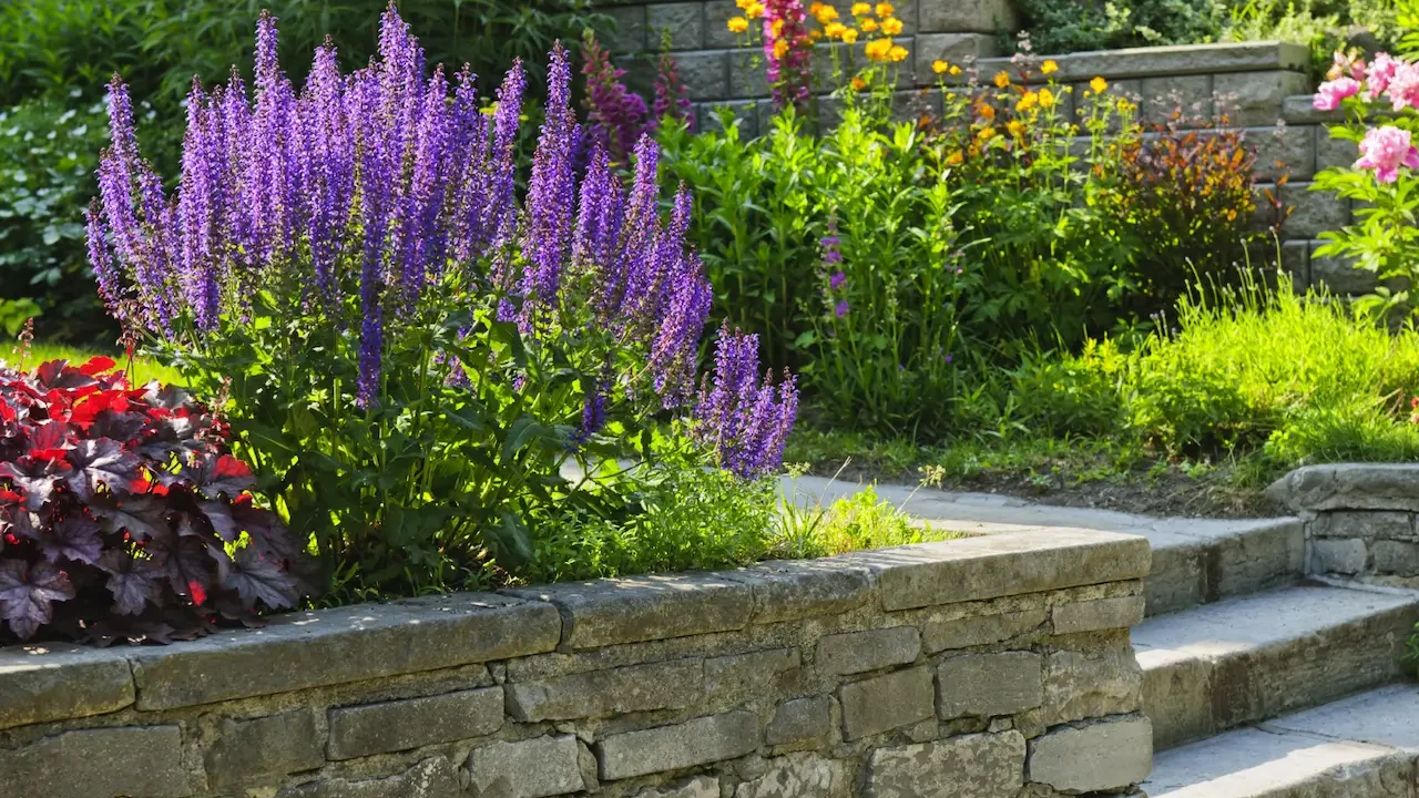 Top 7 Softscape Features to Transform Your Colorado Yard