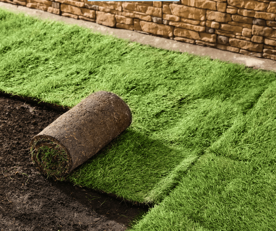 castle pines landscaper, Omni Landscape, installed this sod.