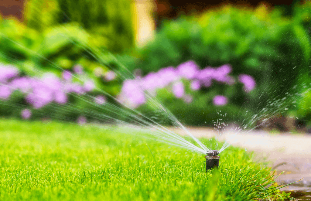 Sprinkler system repaired by Omni in Centennial.