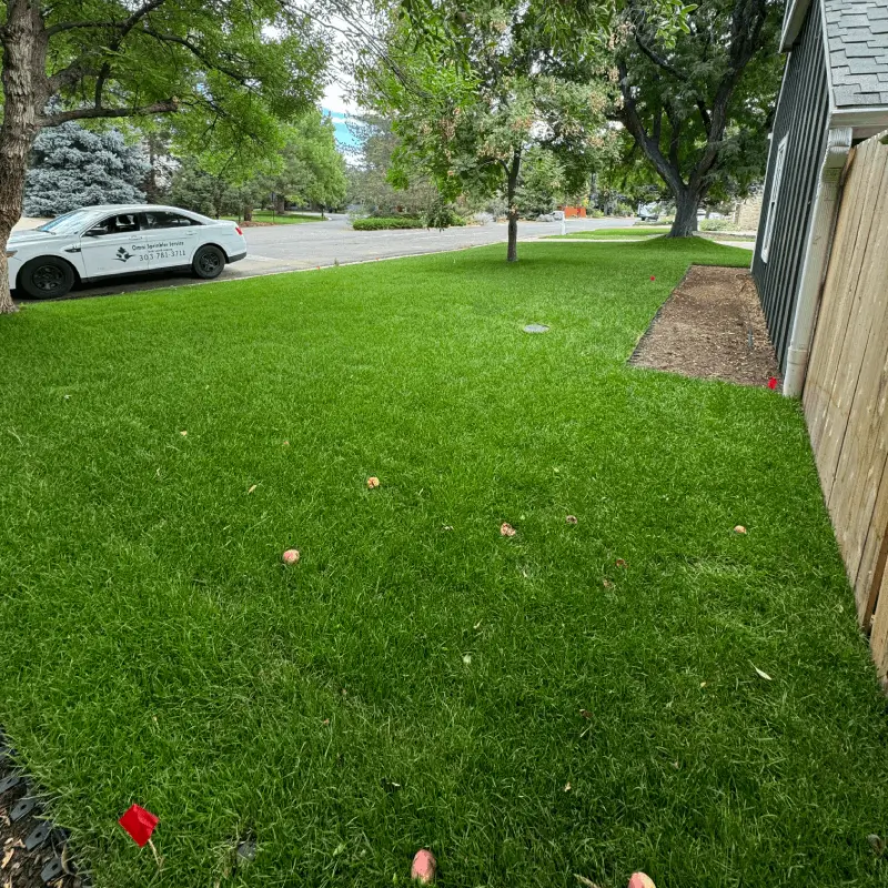 seasonal lawn fertilizer programs