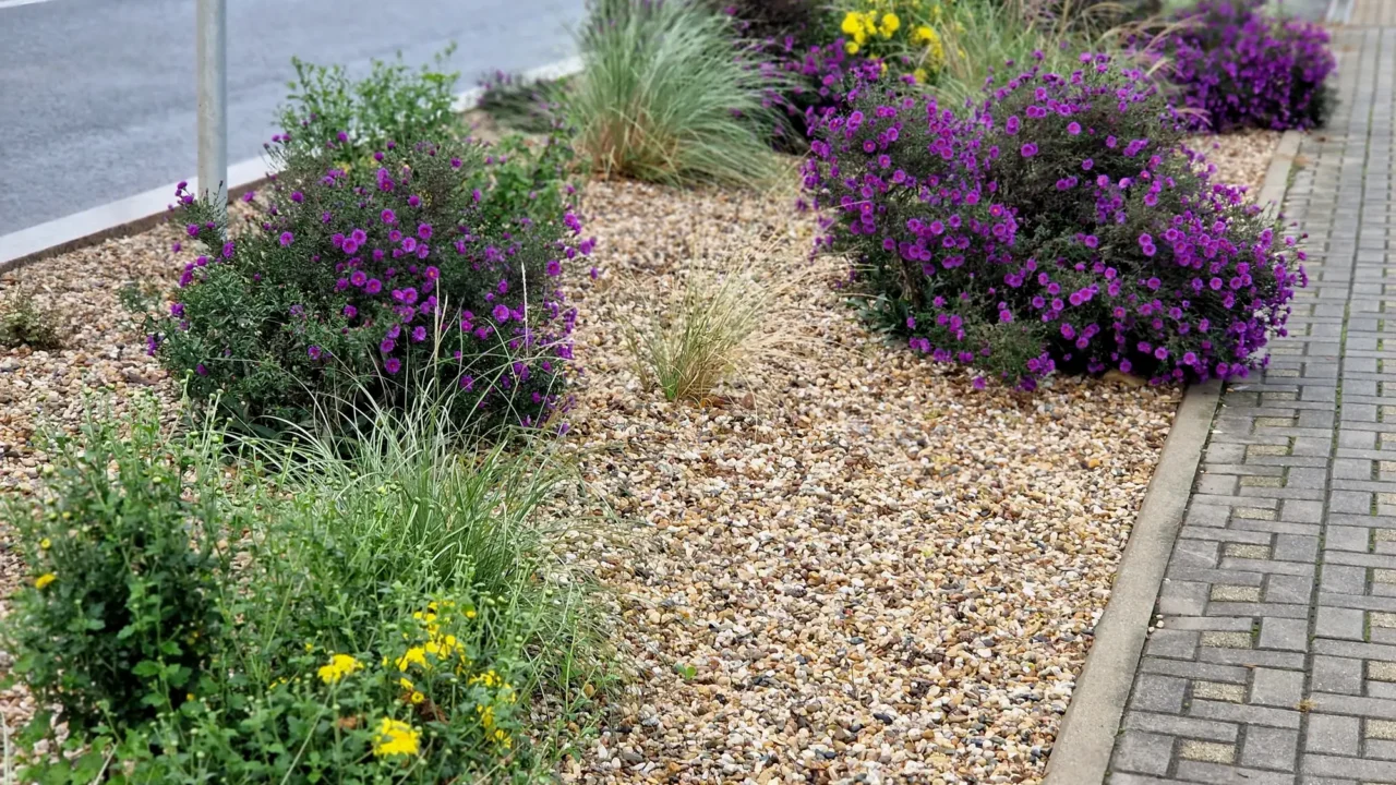 Benefits of Xeriscape in Colorado: A Water-Wise Guide