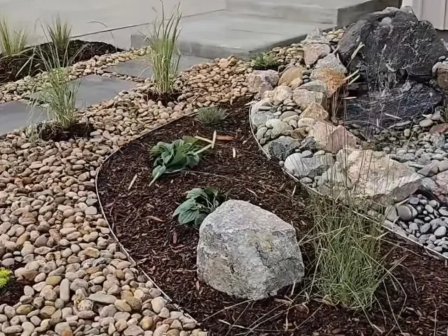 omni landscape solstice front yard project 2026
