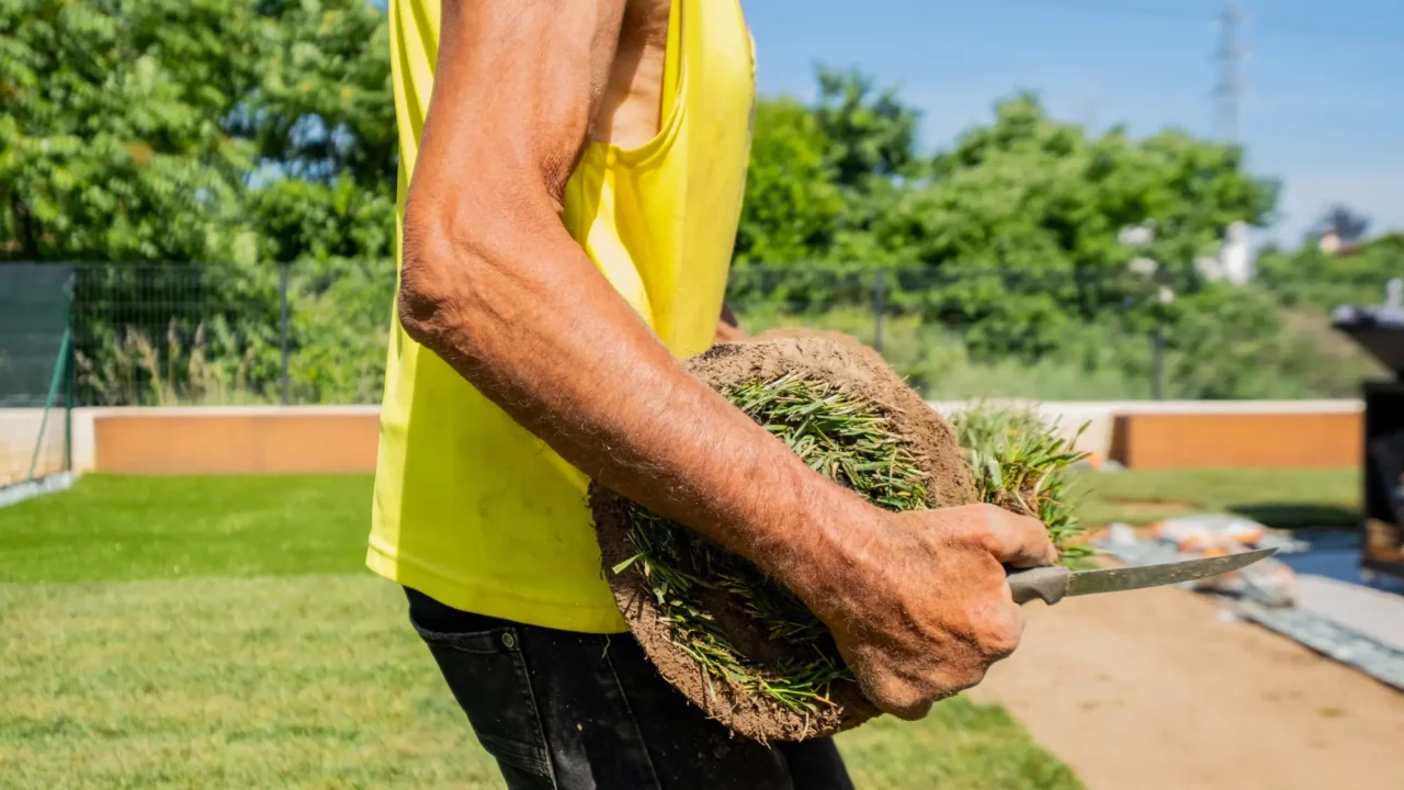 What to Expect From a Professional Landscape Design in Parker, CO